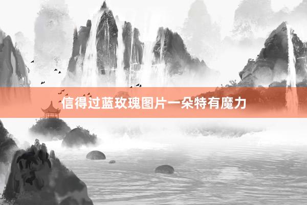 信得过蓝玫瑰图片一朵特有魔力