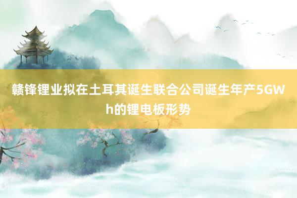 赣锋锂业拟在土耳其诞生联合公司诞生年产5GWh的锂电板形势