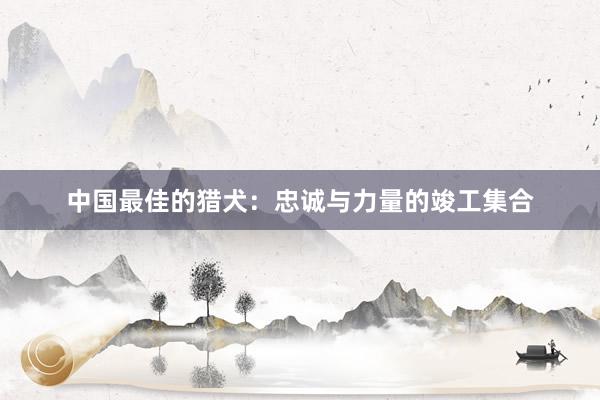 中国最佳的猎犬:忠诚与力量的竣工集合