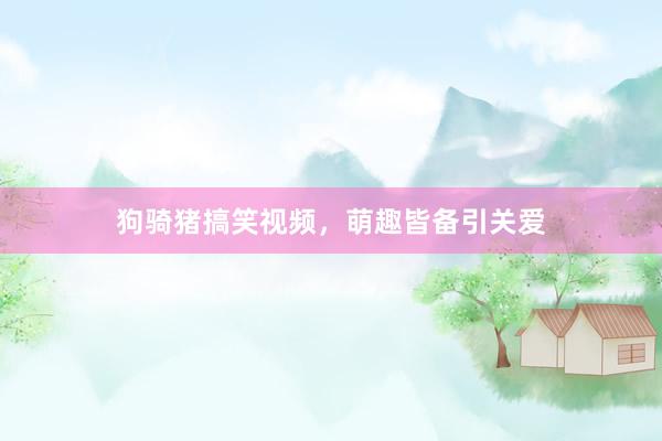 狗骑猪搞笑视频，萌趣皆备引关爱