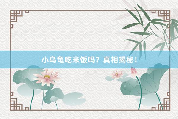 小乌龟吃米饭吗？真相揭秘！